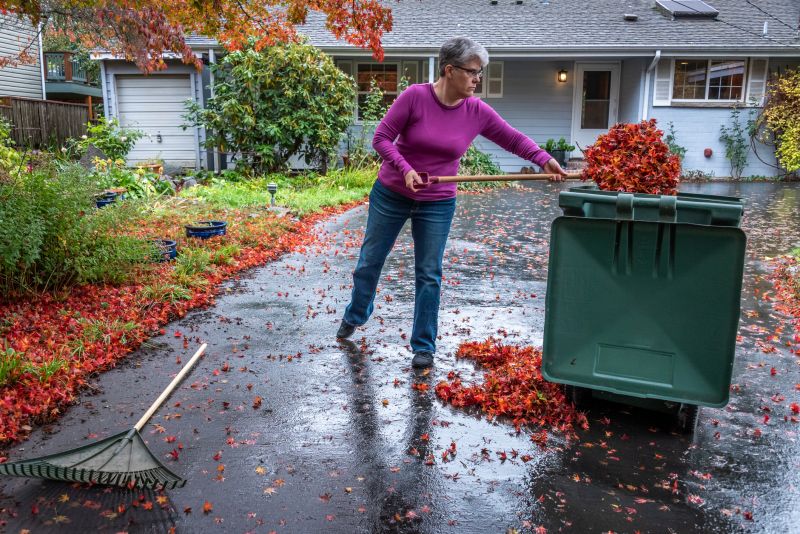 Piles of Leaves Ready for Pickup