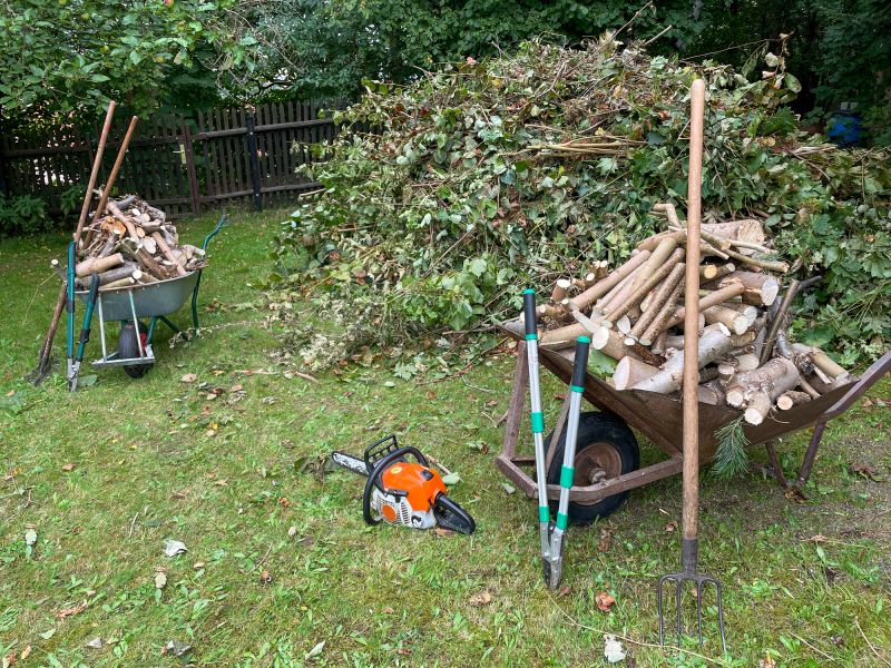 Clearing Debris from Yard